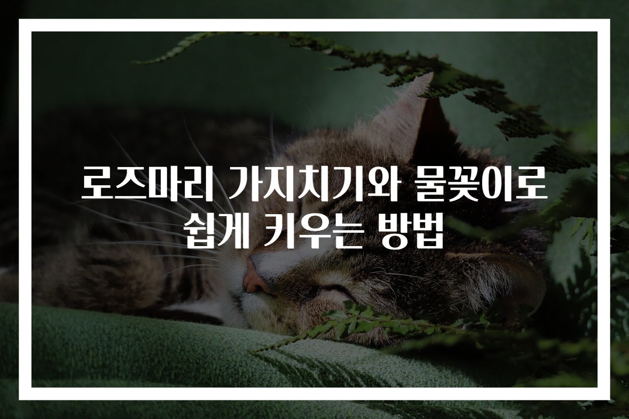 로즈마리 가지치기와 물꽂이로 쉽게 키우는 방법