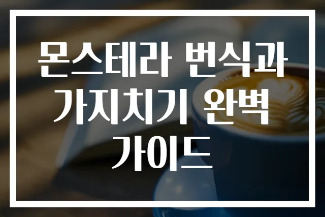 몬스테라 번식과 가지치기 완벽 가이드