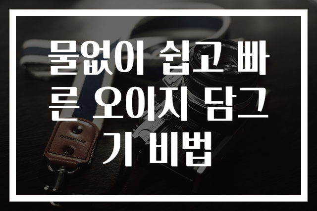 물없이 쉽고 빠른 오이지 담그기 비법