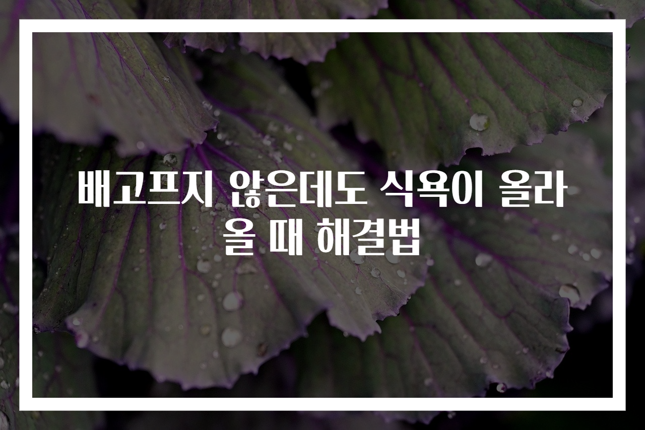 배고프지 않은데도 식욕이 올라올 때 해결법