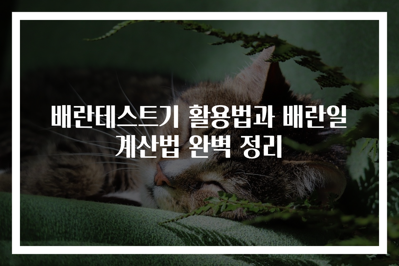 배란테스트기 활용법과 배란일 계산법 완벽 정리
