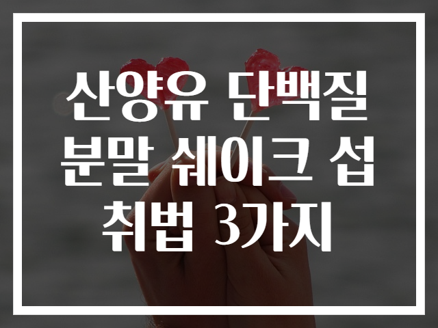 산양유 단백질 분말 쉐이크 섭취법 3가지