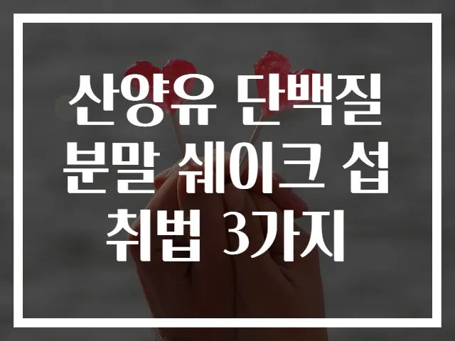 산양유 단백질 분말 쉐이크 섭취법 3가지