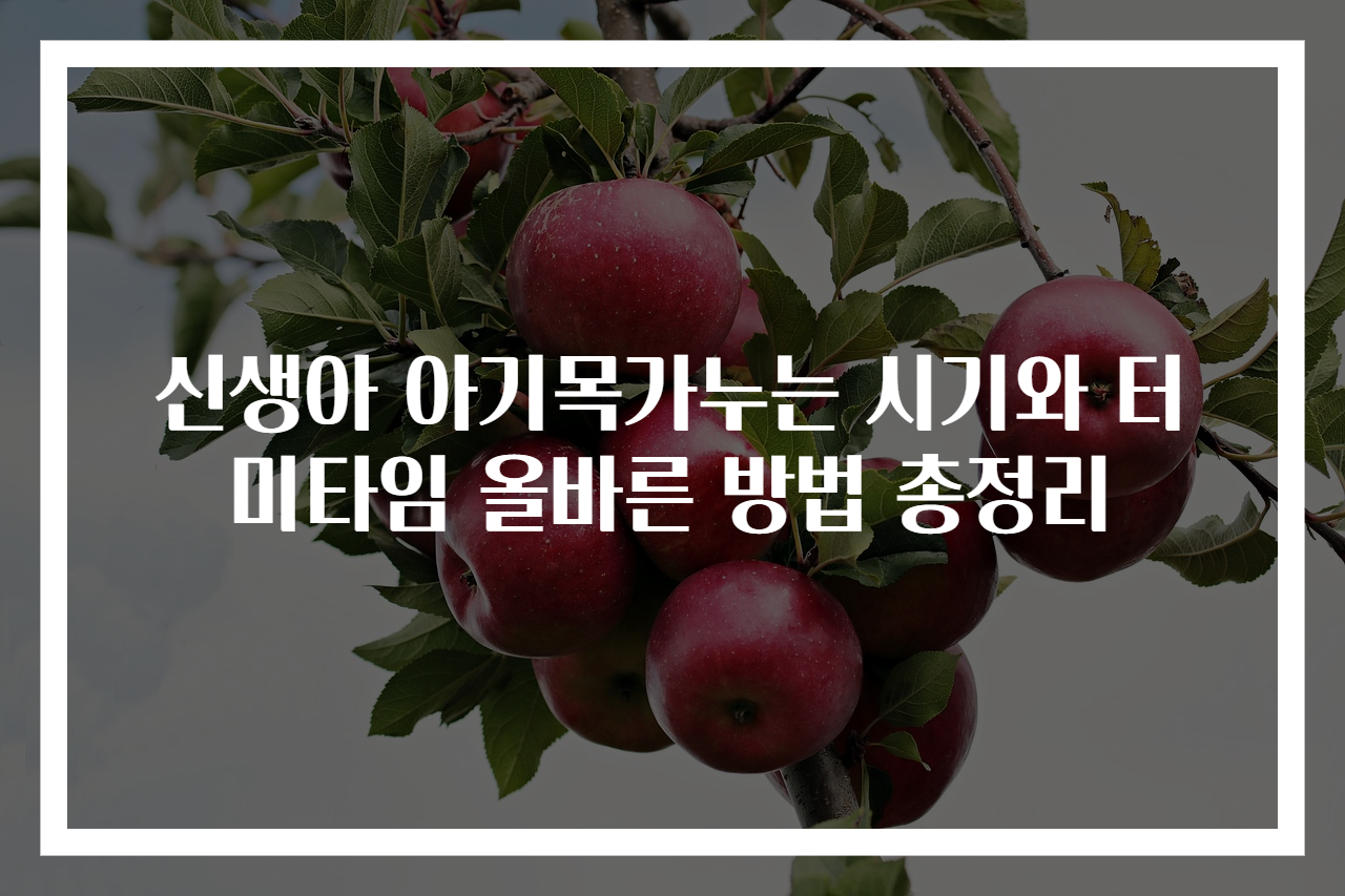 신생아 아기목가누는 시기와 터미타임 올바른 방법 총정리