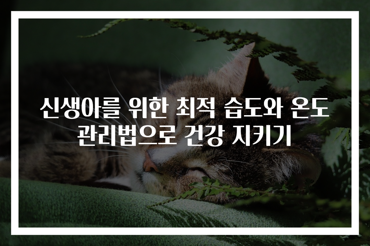 신생아를 위한 최적 습도와 온도 관리법으로 건강 지키기