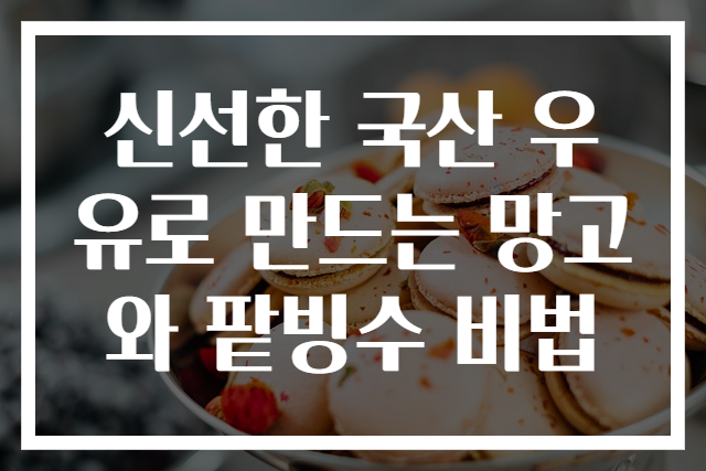 신선한 국산 우유로 만드는 망고와 팥빙수 비법