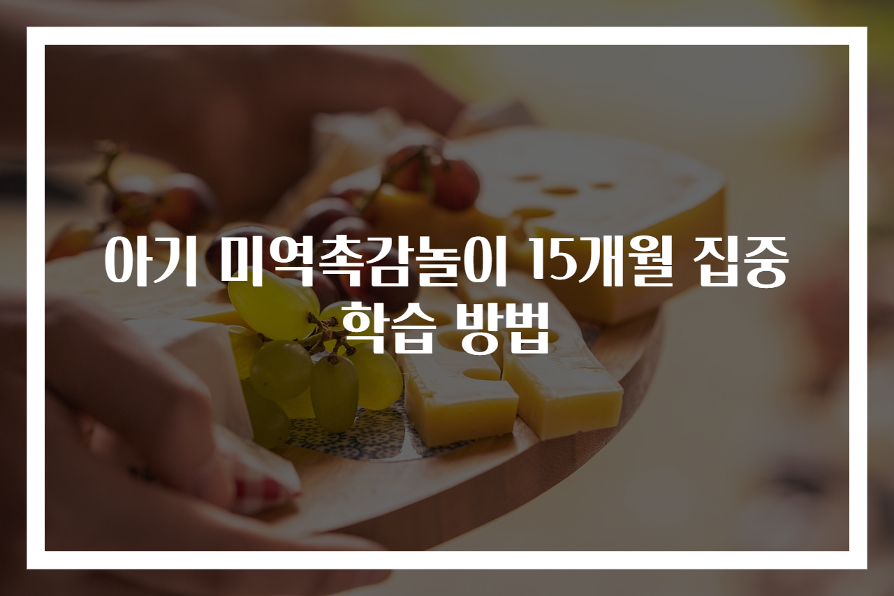 아기 미역촉감놀이 15개월 집중 학습 방법