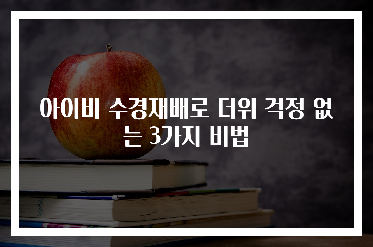 아이비 수경재배로 더위 걱정 없는 3가지 비법