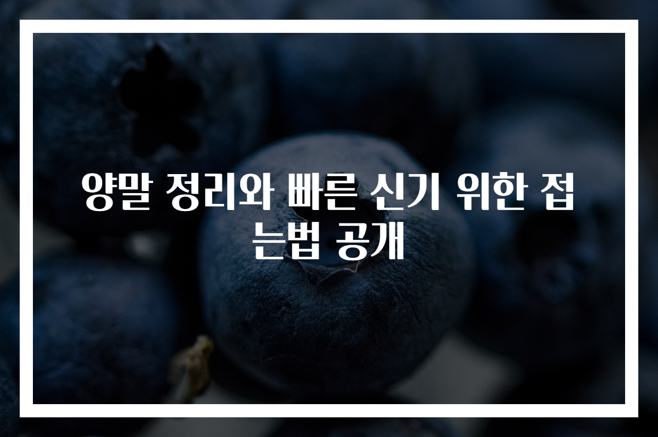 양말 정리와 빠른 신기 위한 접는법 공개