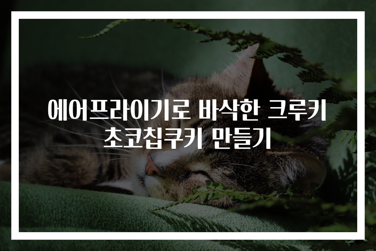 에어프라이기로 바삭한 크루키 초코칩쿠키 만들기
