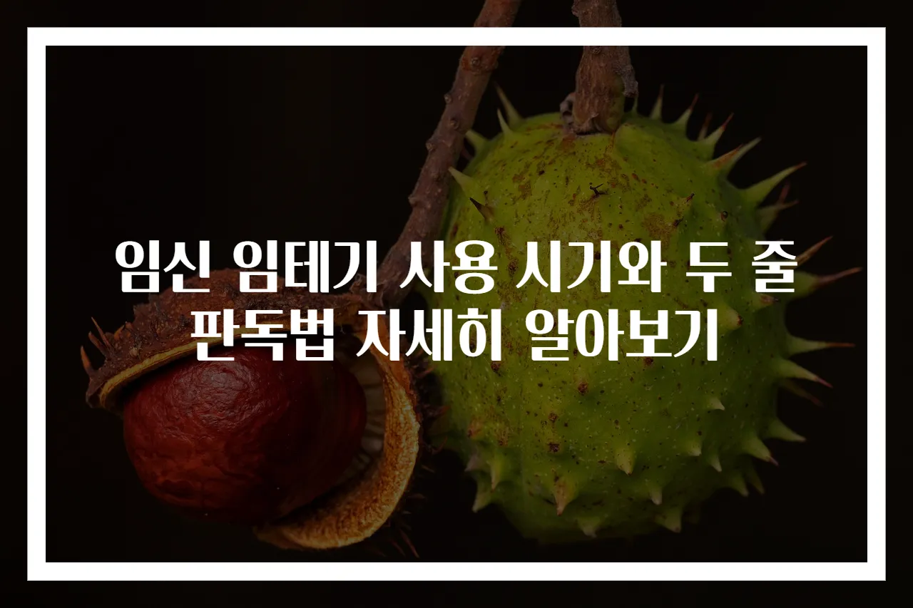 임신 임테기 사용 시기와 두 줄 판독법 자세히 알아보기