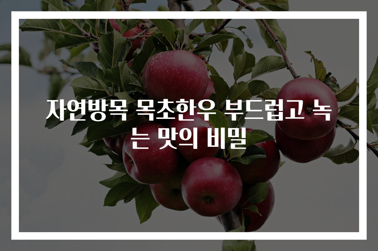 자연방목 목초한우 부드럽고 녹는 맛의 비밀