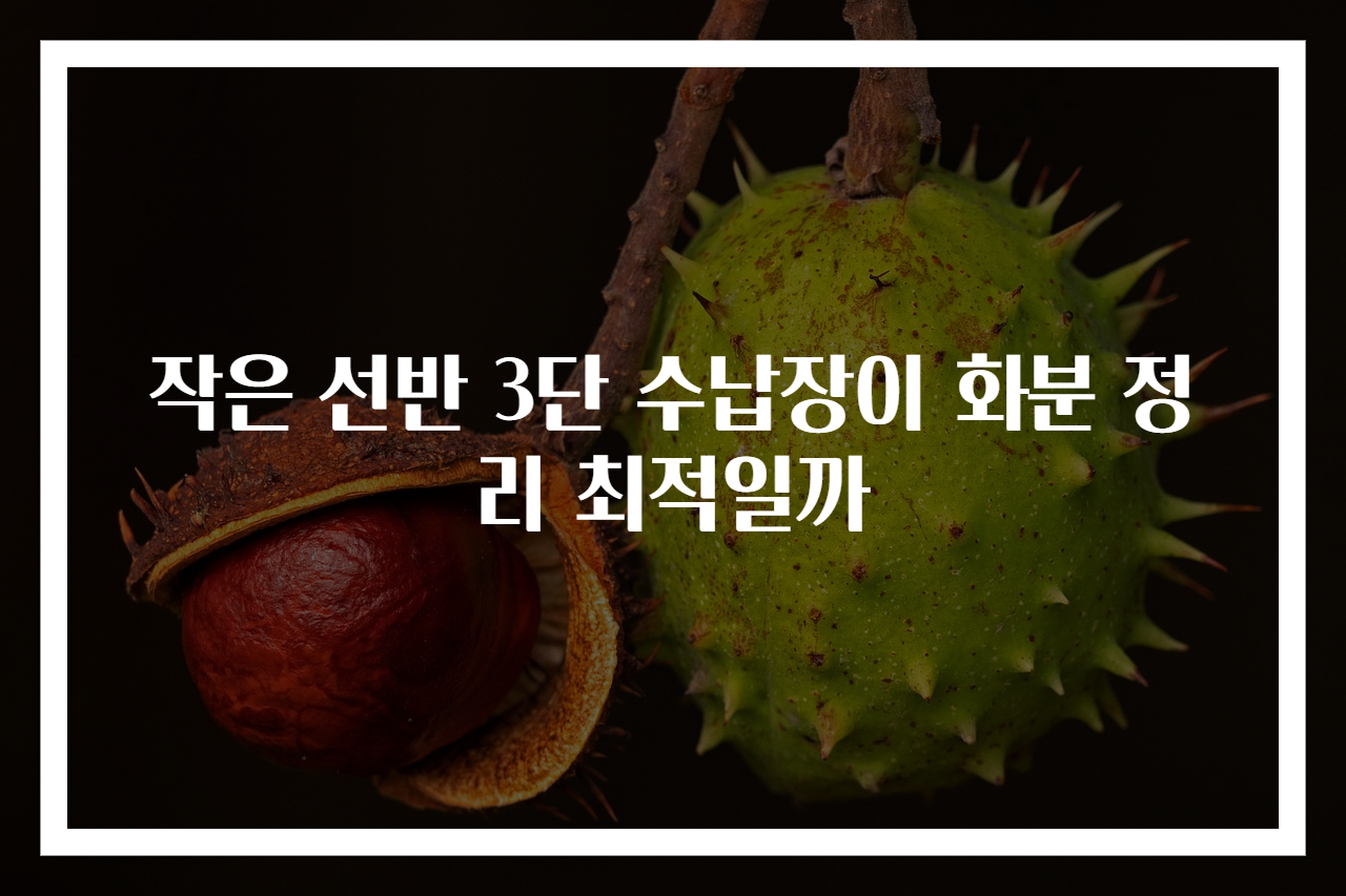 작은 선반 3단 수납장이 화분 정리 최적일까