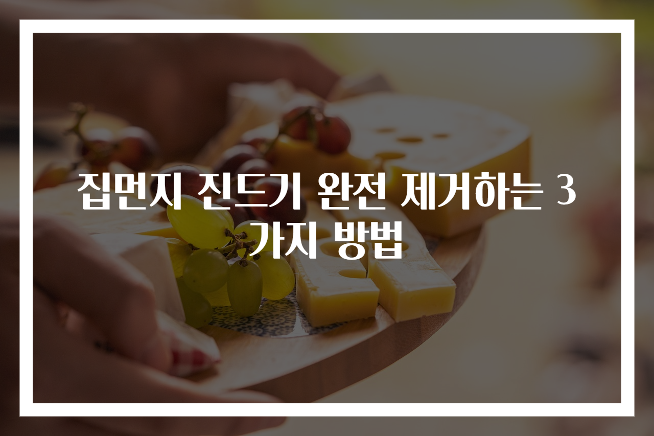 집먼지 진드기 완전 제거하는 3가지 방법