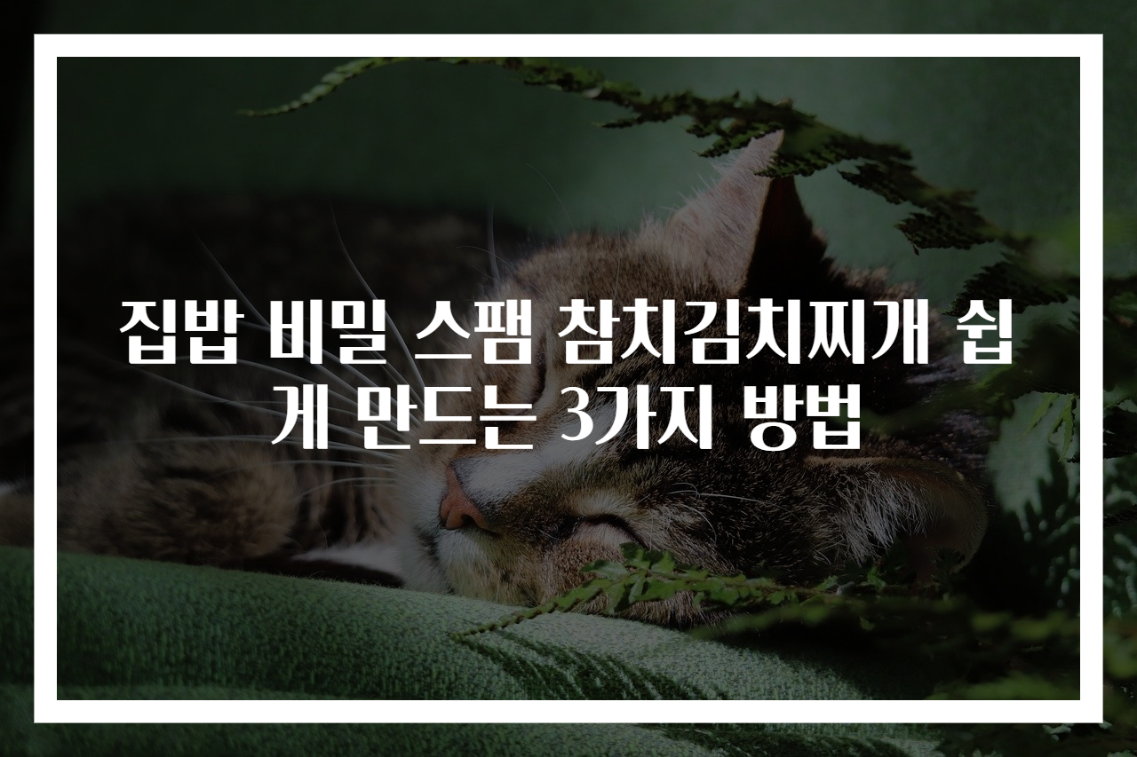 집밥 비밀 스팸 참치김치찌개 쉽게 만드는 3가지 방법