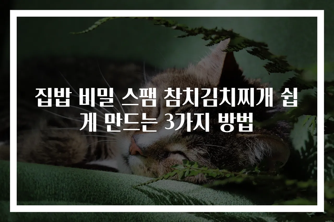집밥 비밀 스팸 참치김치찌개 쉽게 만드는 3가지 방법