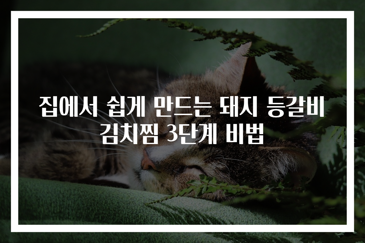 집에서 쉽게 만드는 돼지 등갈비 김치찜 3단계 비법