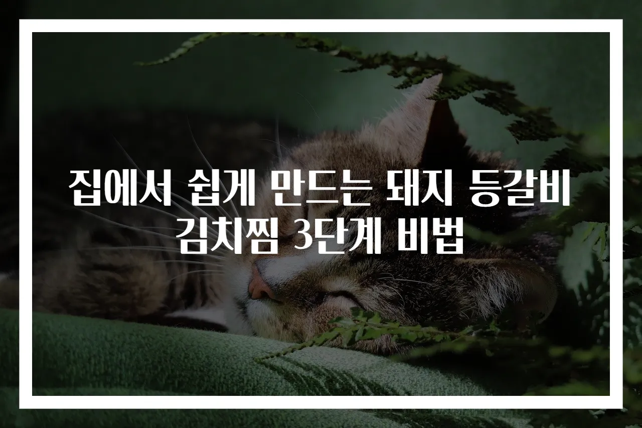 집에서 쉽게 만드는 돼지 등갈비 김치찜 3단계 비법