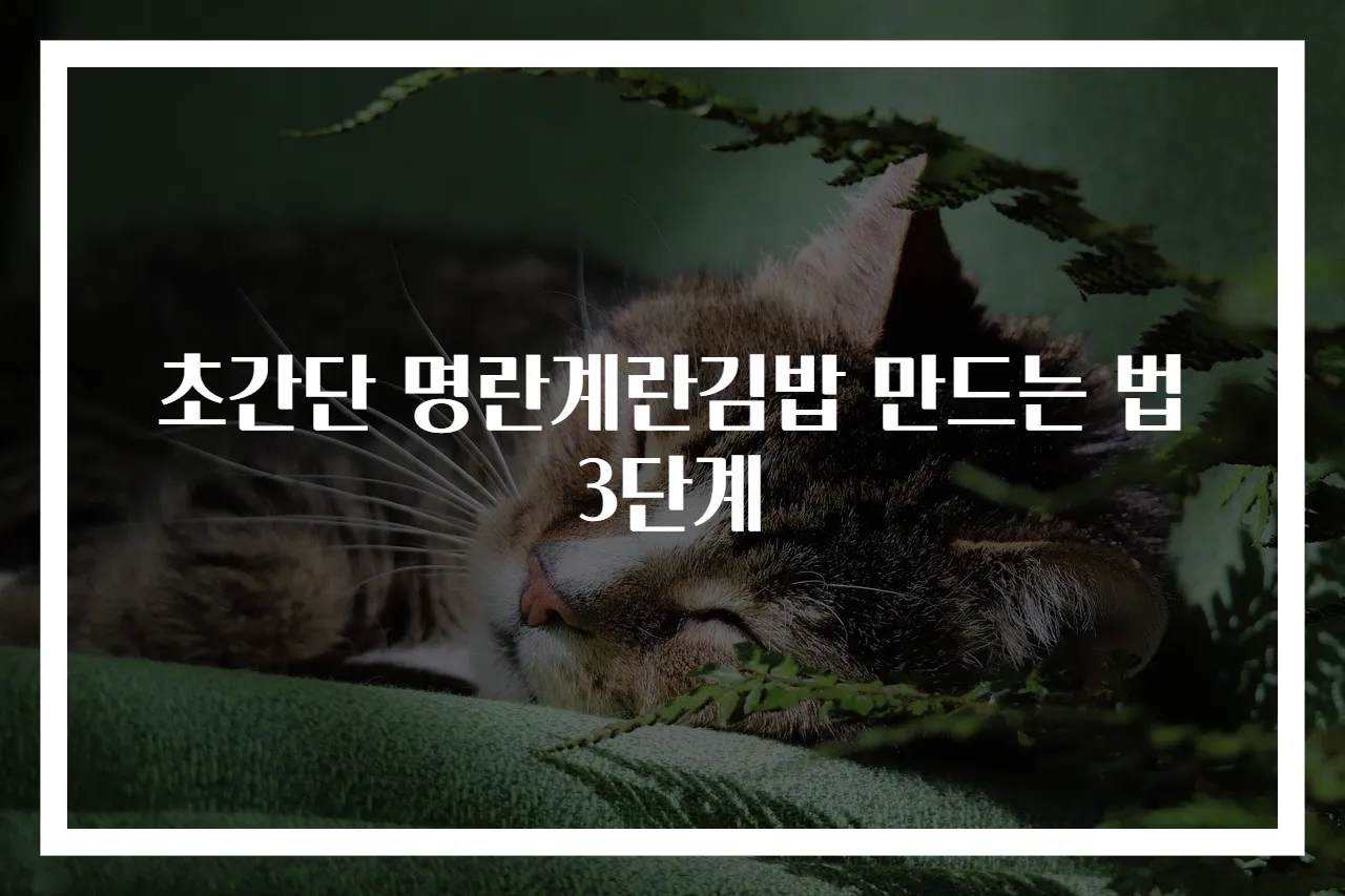 초간단 명란계란김밥 만드는 법 3단계