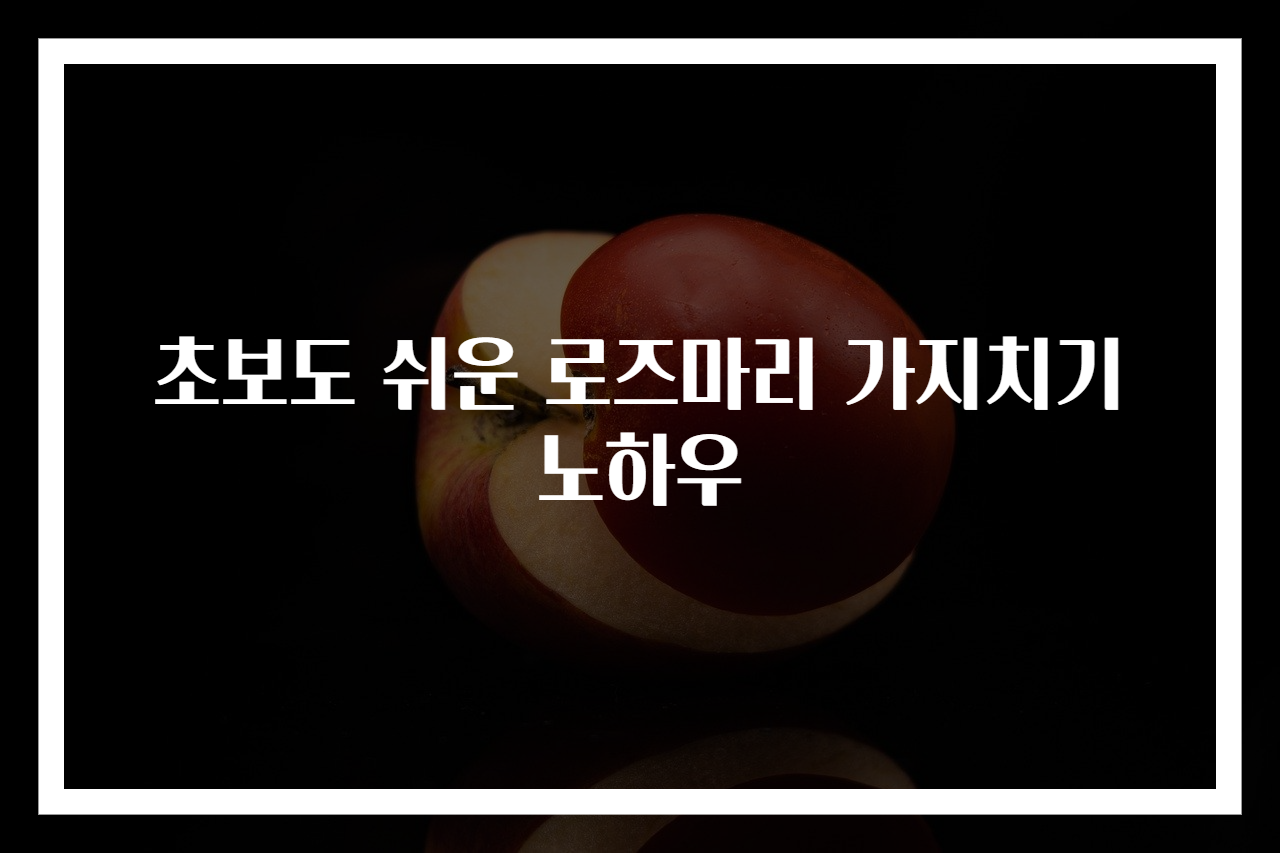 초보도 쉬운 로즈마리 가지치기 노하우