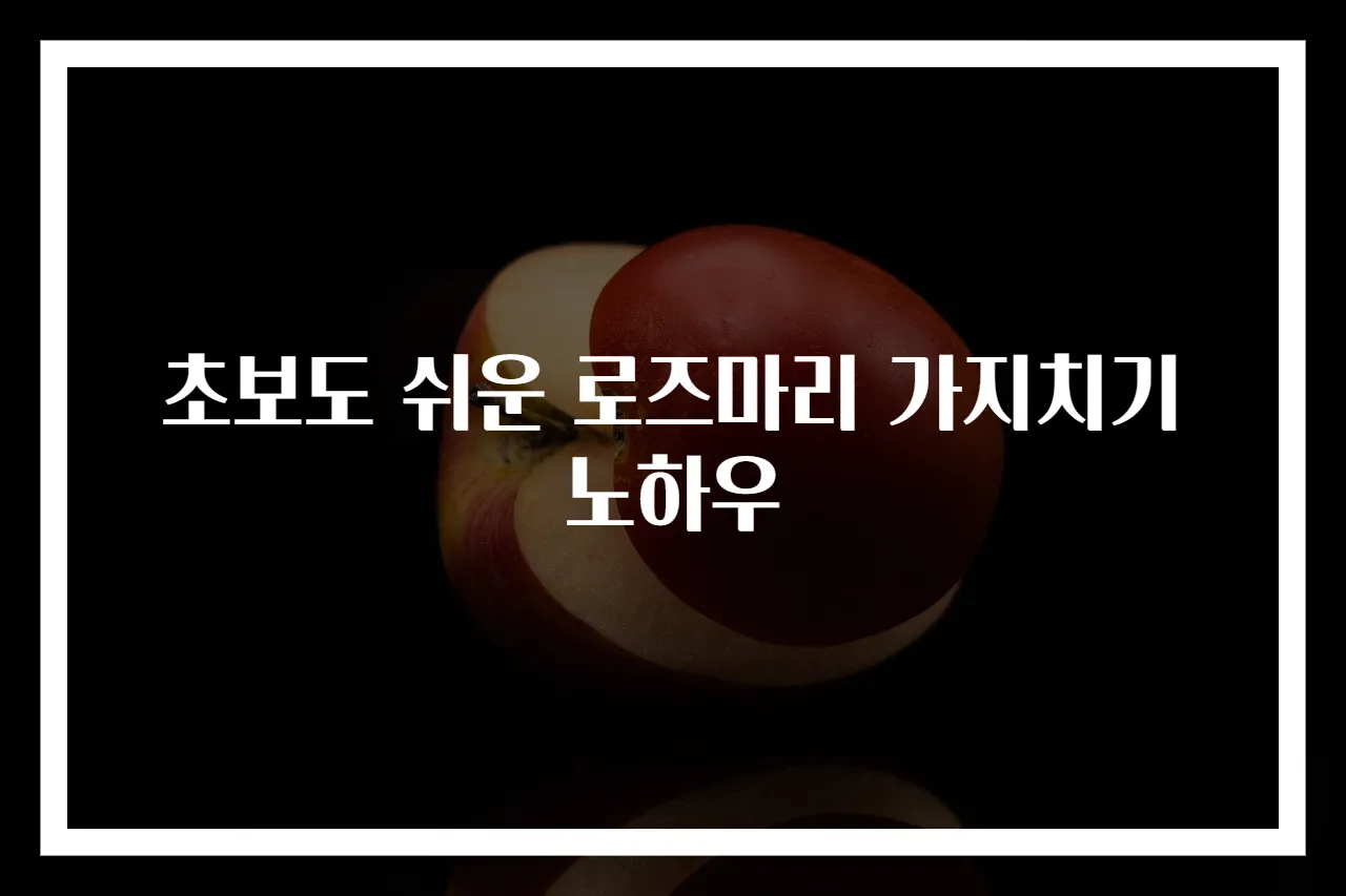 초보도 쉬운 로즈마리 가지치기 노하우