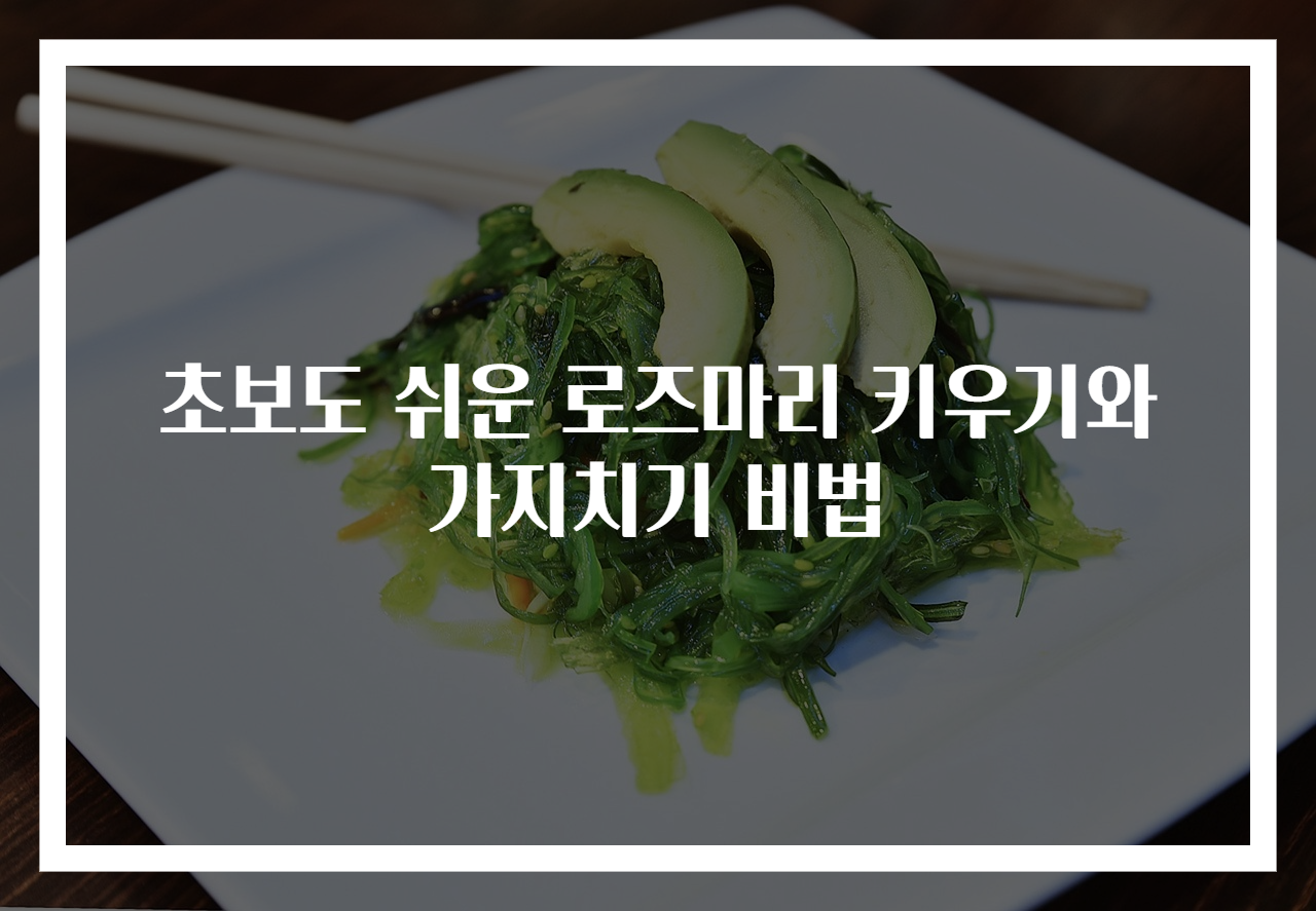 초보도 쉬운 로즈마리 키우기와 가지치기 비법