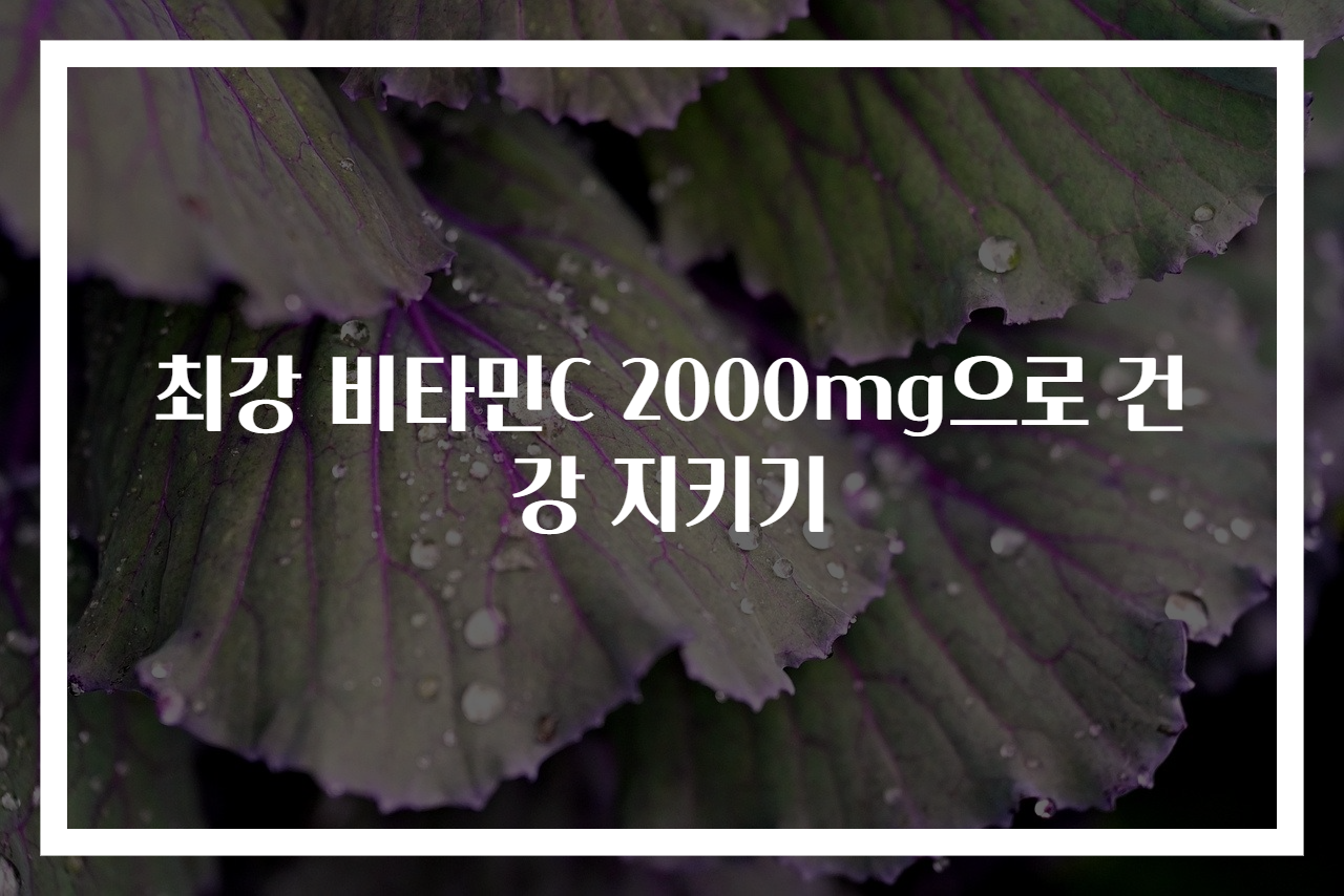 최강 비타민C 2000mg으로 건강 지키기