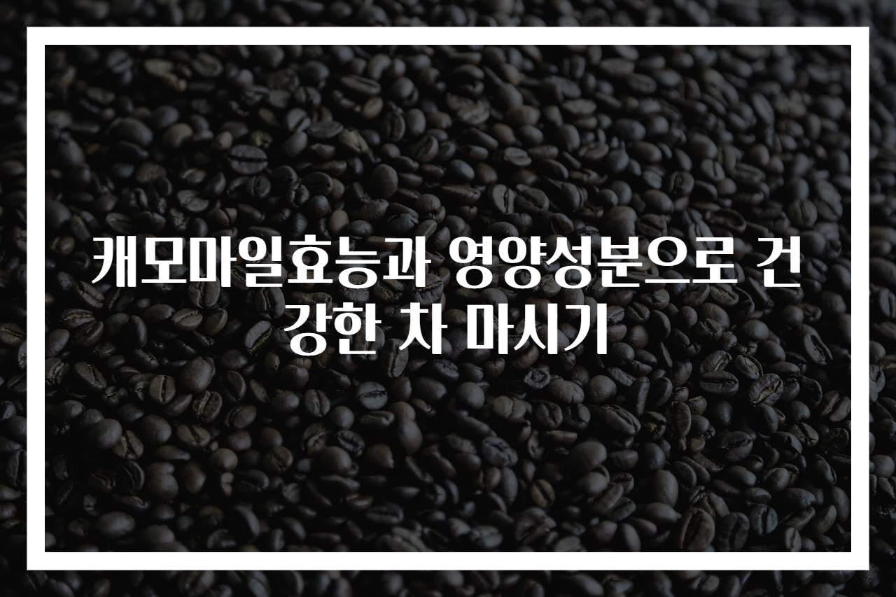 캐모마일효능과 영양성분으로 건강한 차 마시기