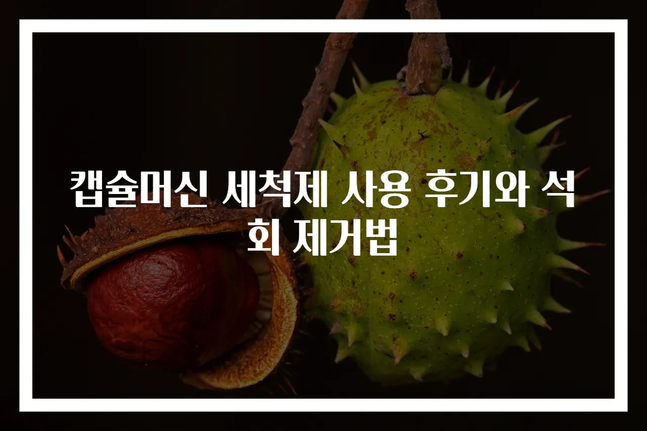 캡슐머신 세척제 사용 후기와 석회 제거법