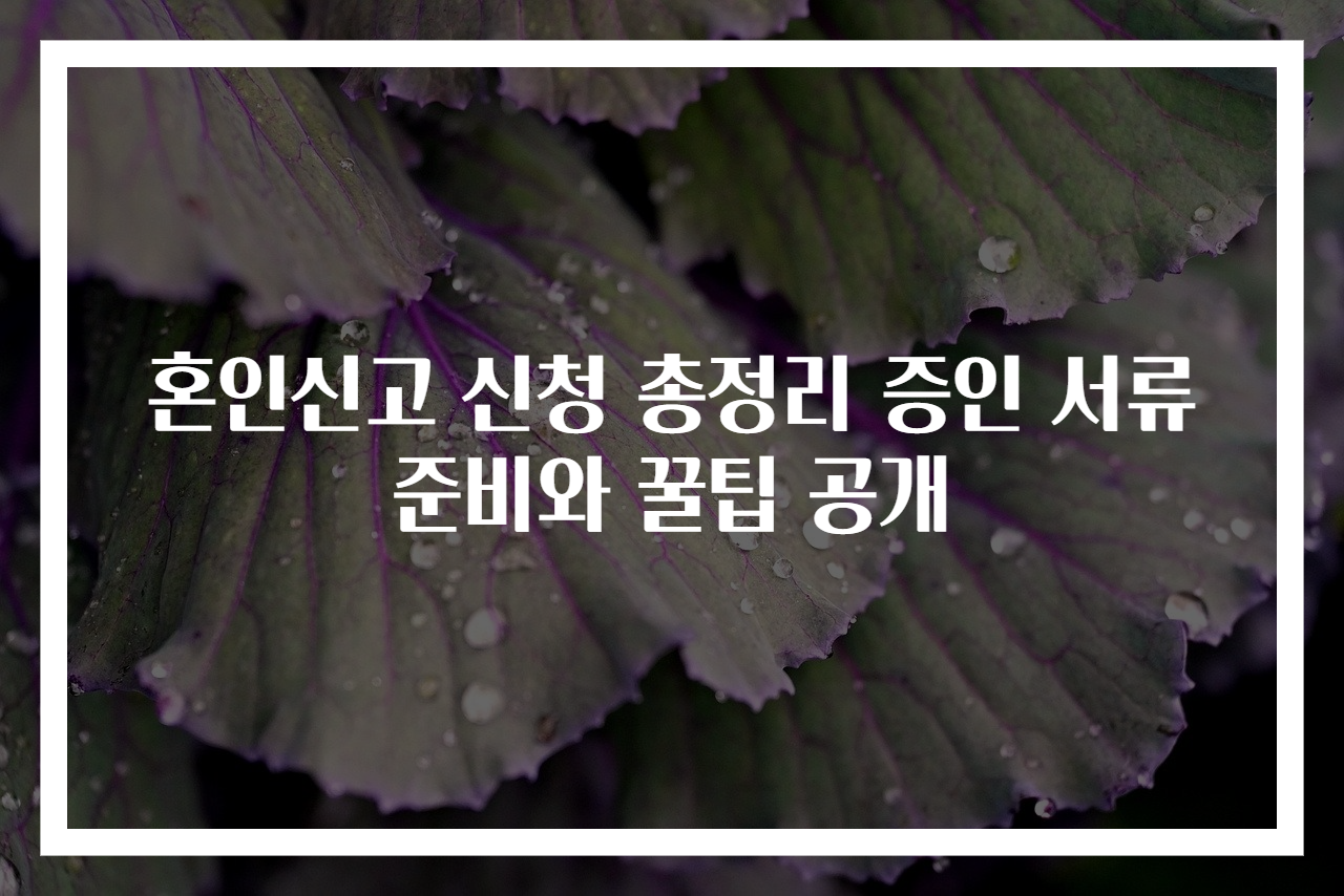 혼인신고 신청 총정리 증인 서류 준비와 꿀팁 공개