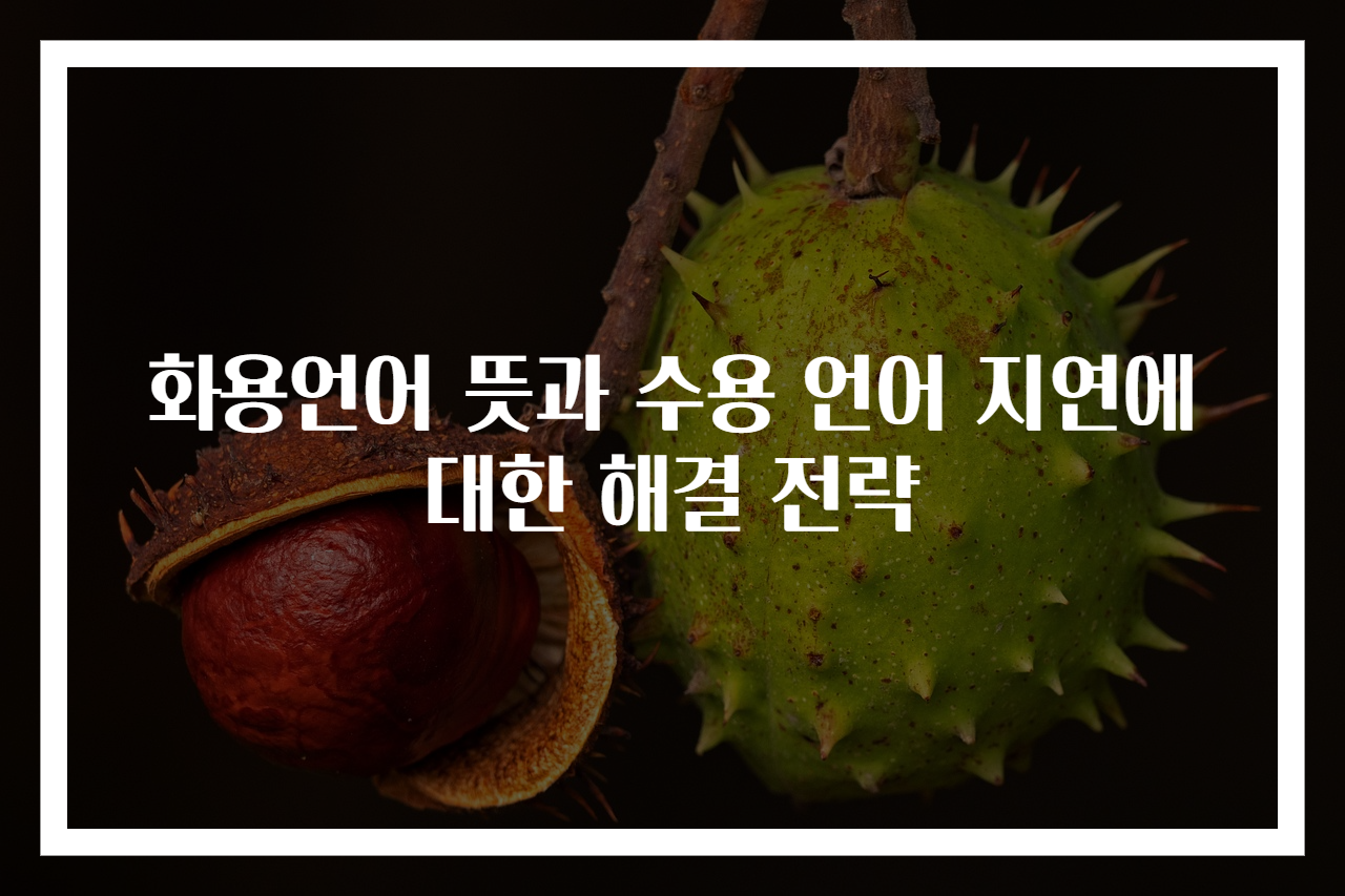 화용언어 뜻과 수용 언어 지연에 대한 해결 전략