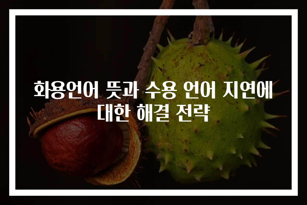 화용언어 뜻과 수용 언어 지연에 대한 해결 전략