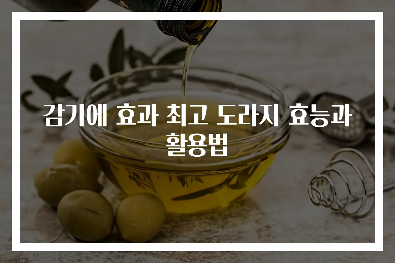 감기에 효과 최고 도라지 효능과 활용법