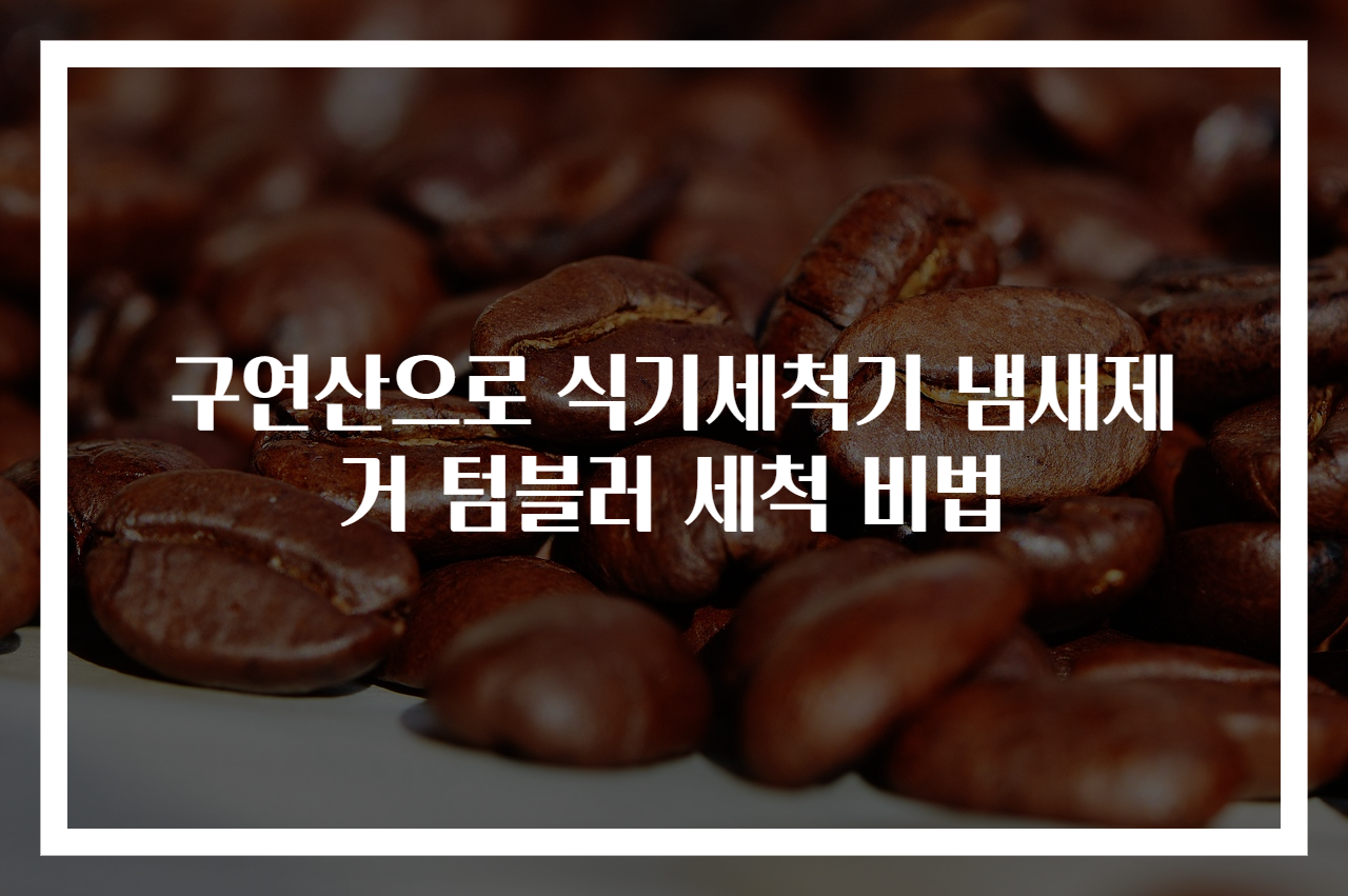 구연산으로 식기세척기 냄새제거 텀블러 세척 비법