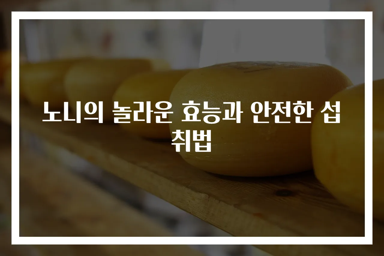 노니의 놀라운 효능과 안전한 섭취법