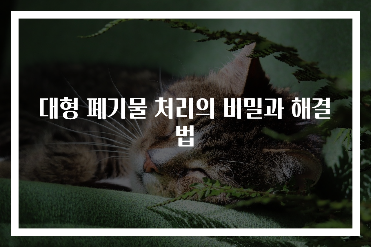 대형 폐기물 처리의 비밀과 해결법