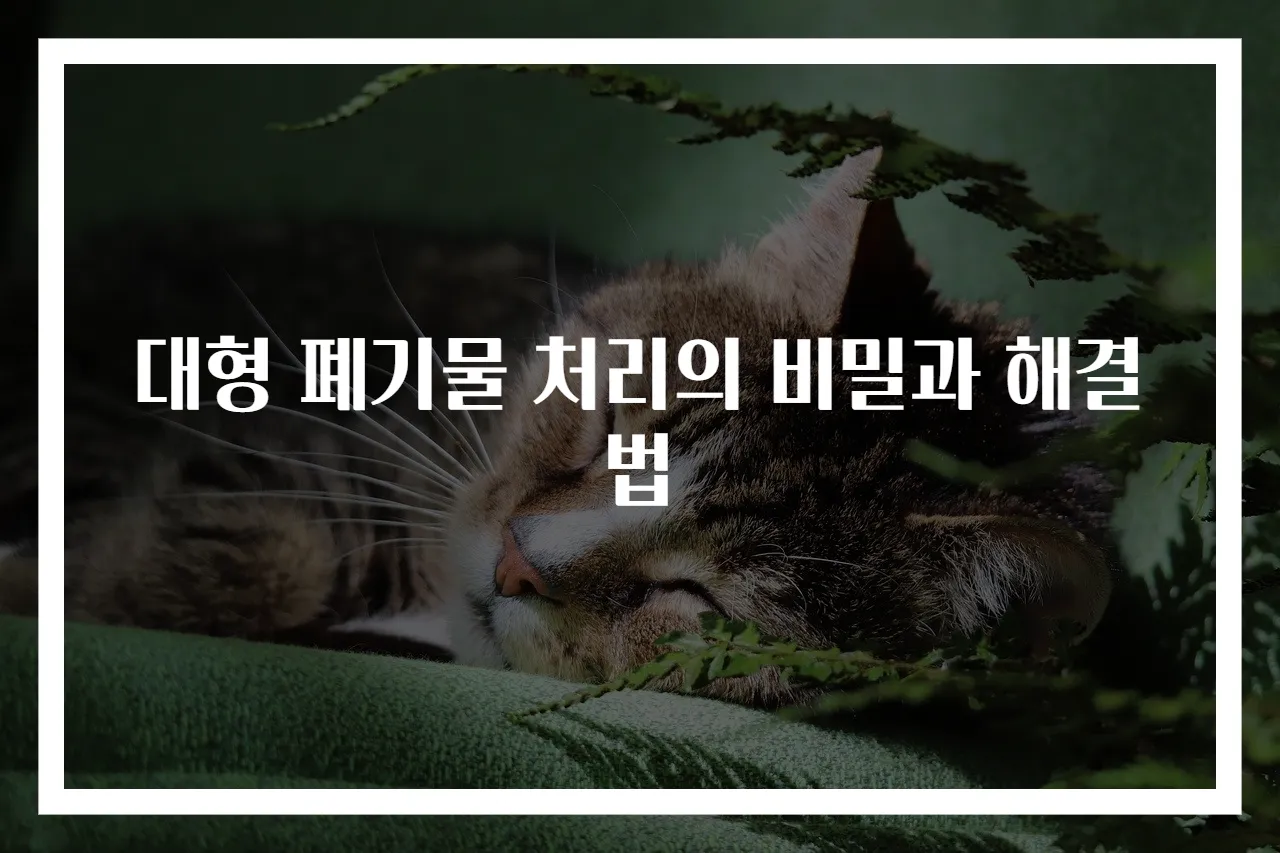 대형 폐기물 처리의 비밀과 해결법