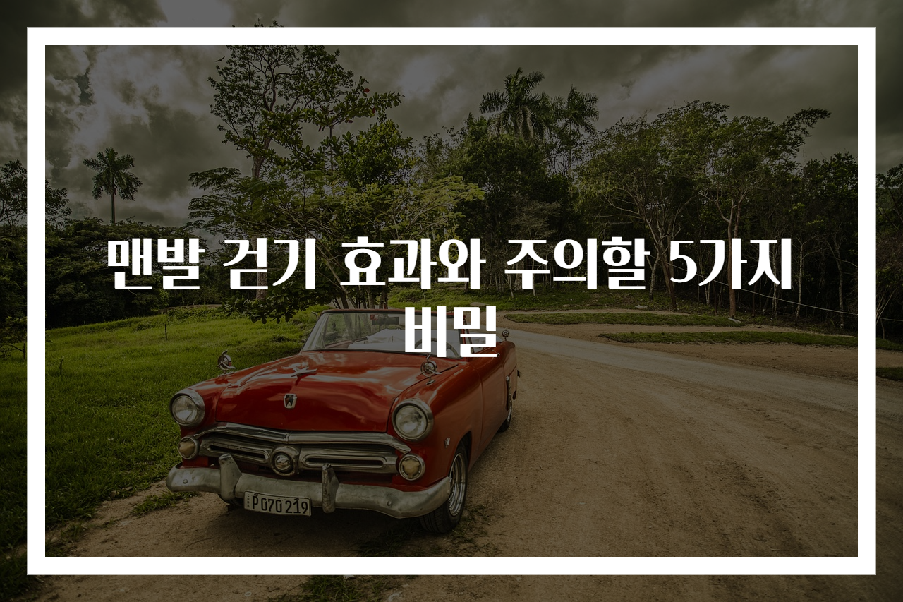 맨발 걷기 효과와 주의할 5가지 비밀