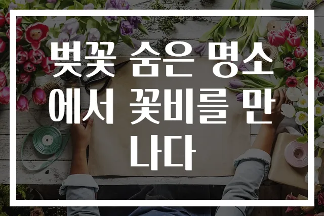 벚꽃 숨은 명소에서 꽃비를 만나다