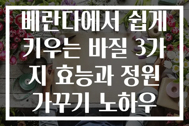 베란다에서 쉽게 키우는 바질 3가지 효능과 정원 가꾸기 노하우
