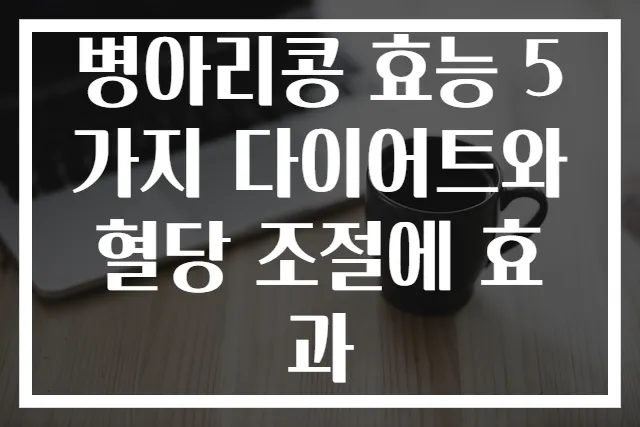 병아리콩 효능 5가지 다이어트와 혈당 조절에 효과