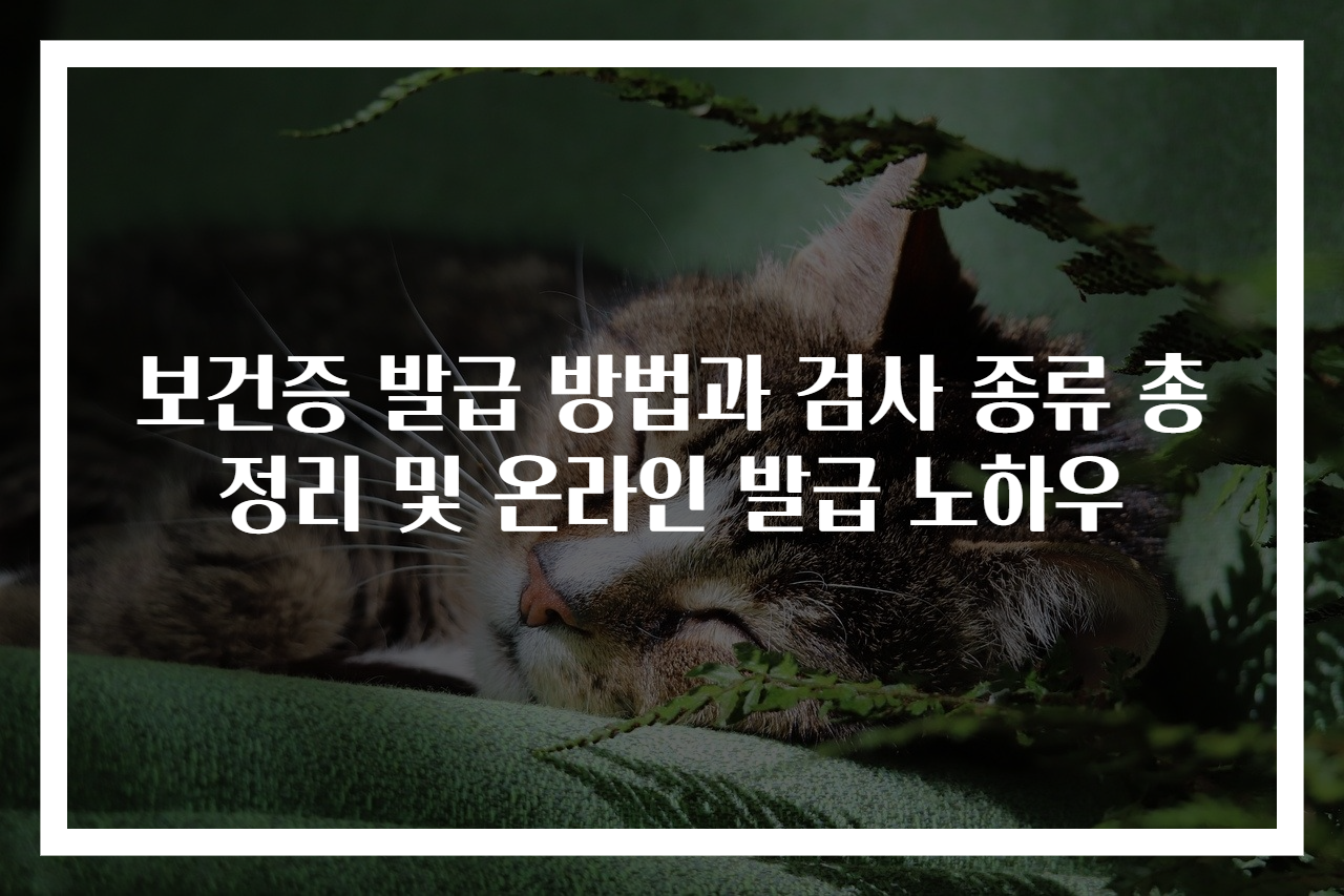 보건증 발급 방법과 검사 종류 총정리 및 온라인 발급 노하우
