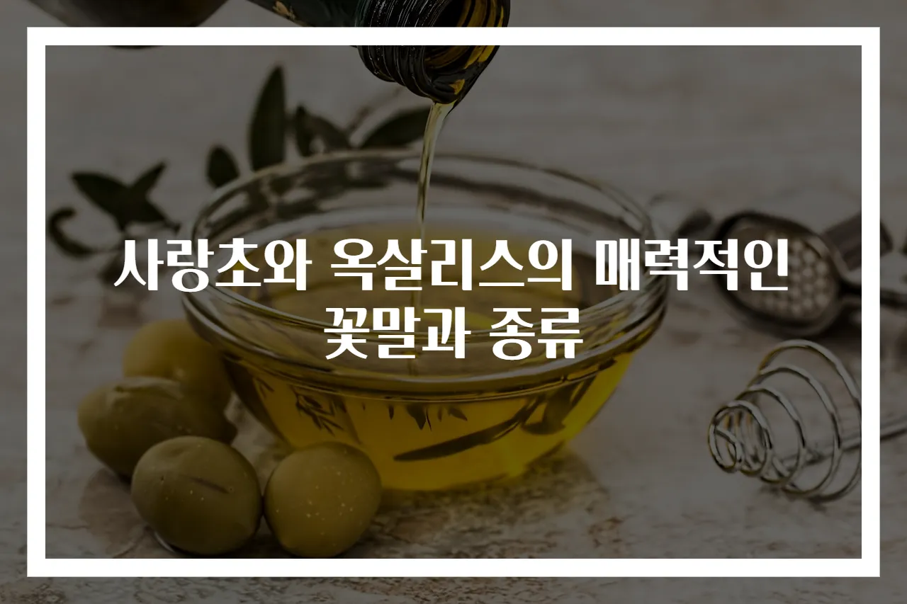 사랑초와 옥살리스의 매력적인 꽃말과 종류