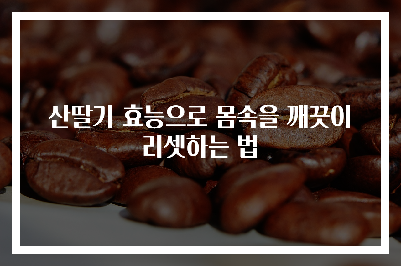 산딸기 효능으로 몸속을 깨끗이 리셋하는 법