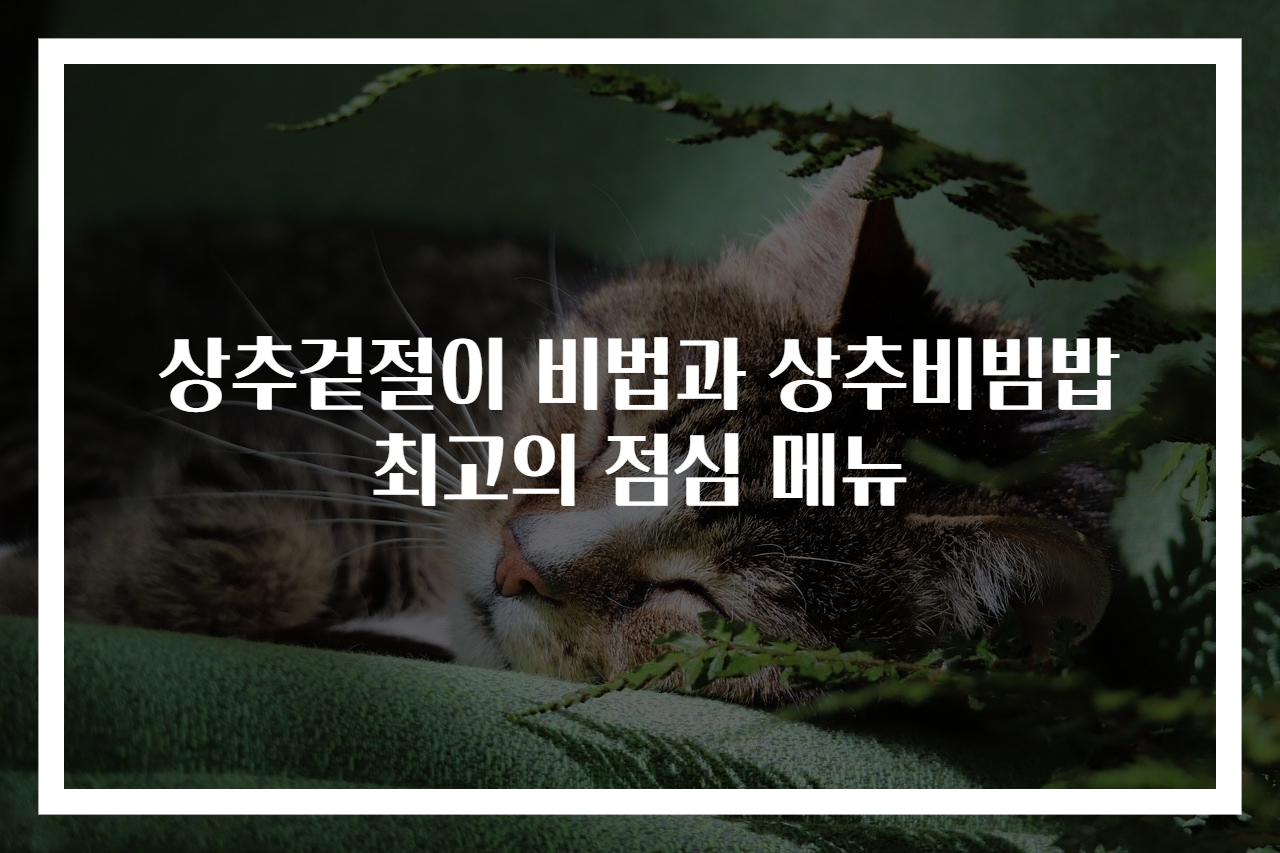 상추겉절이 비법과 상추비빔밥 최고의 점심 메뉴