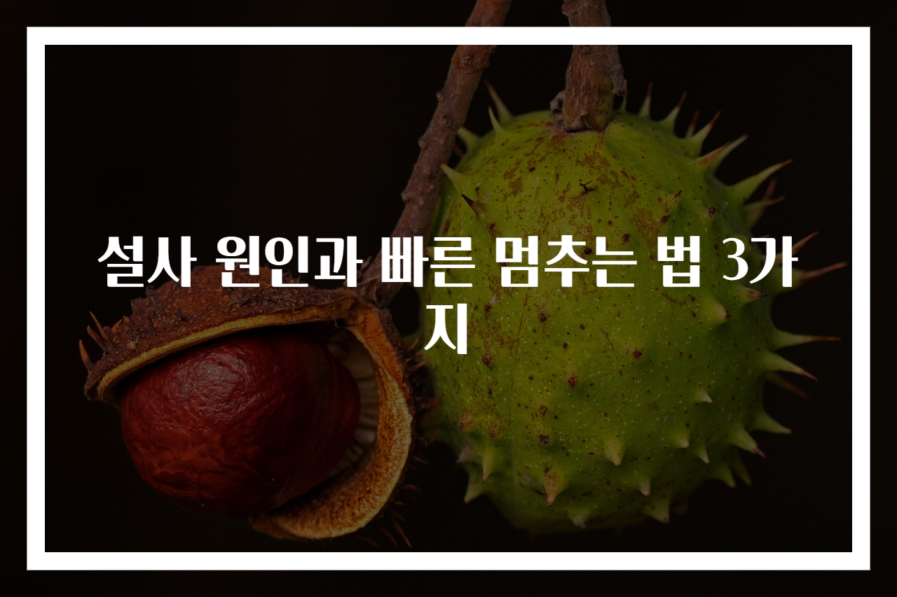 설사 원인과 빠른 멈추는 법 3가지