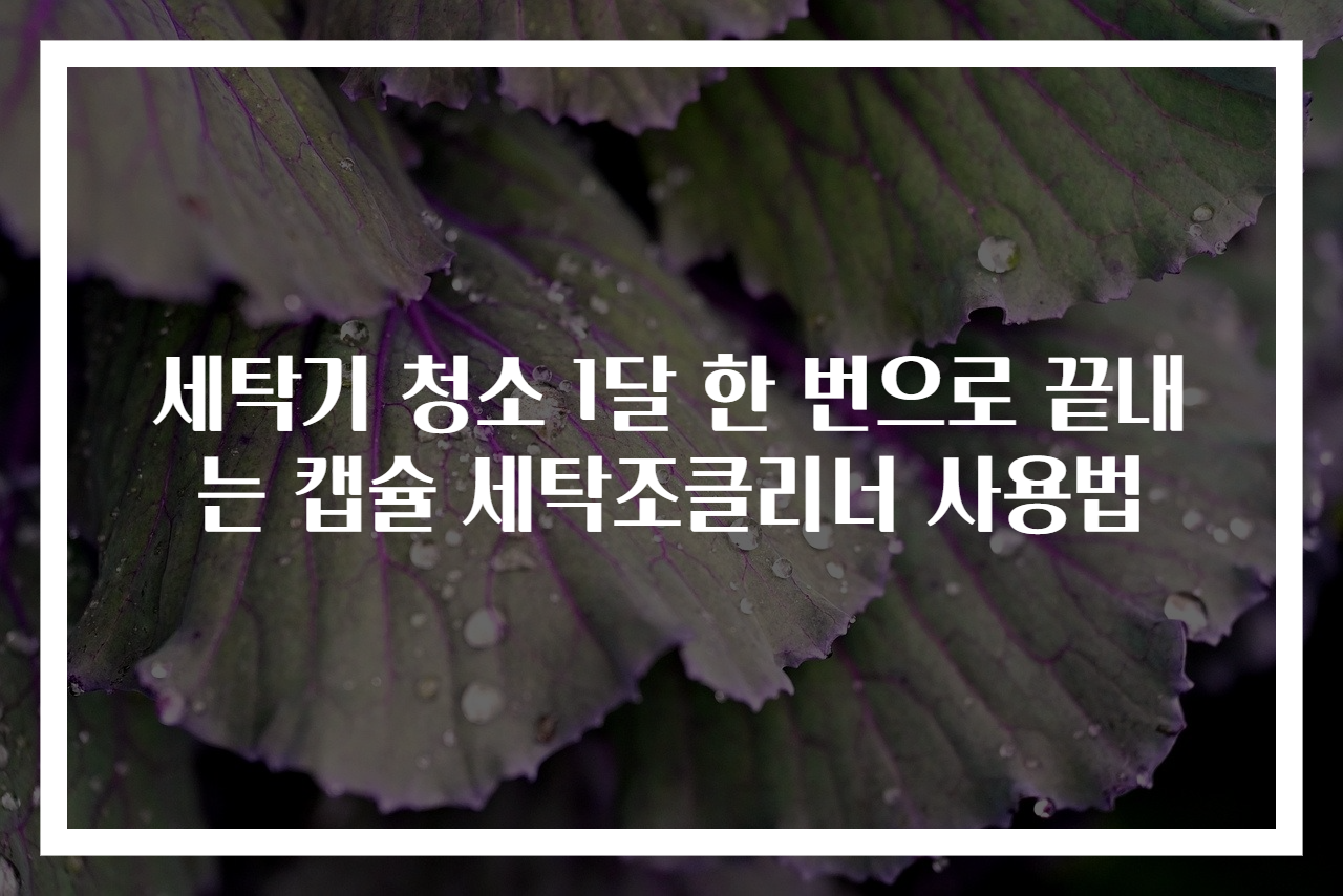 세탁기 청소 1달 한 번으로 끝내는 캡슐 세탁조클리너 사용법