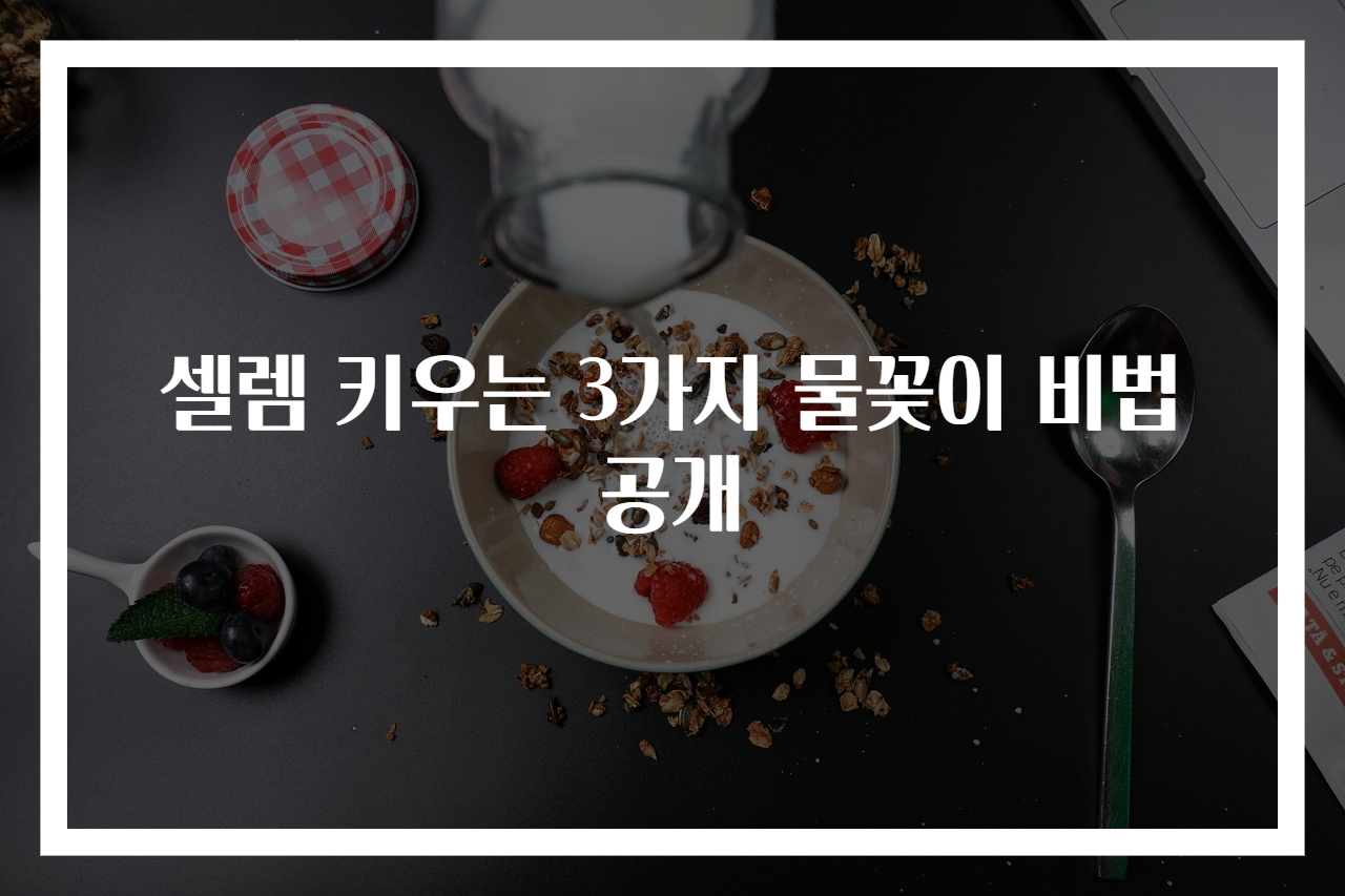 셀렘 키우는 3가지 물꽂이 비법 공개