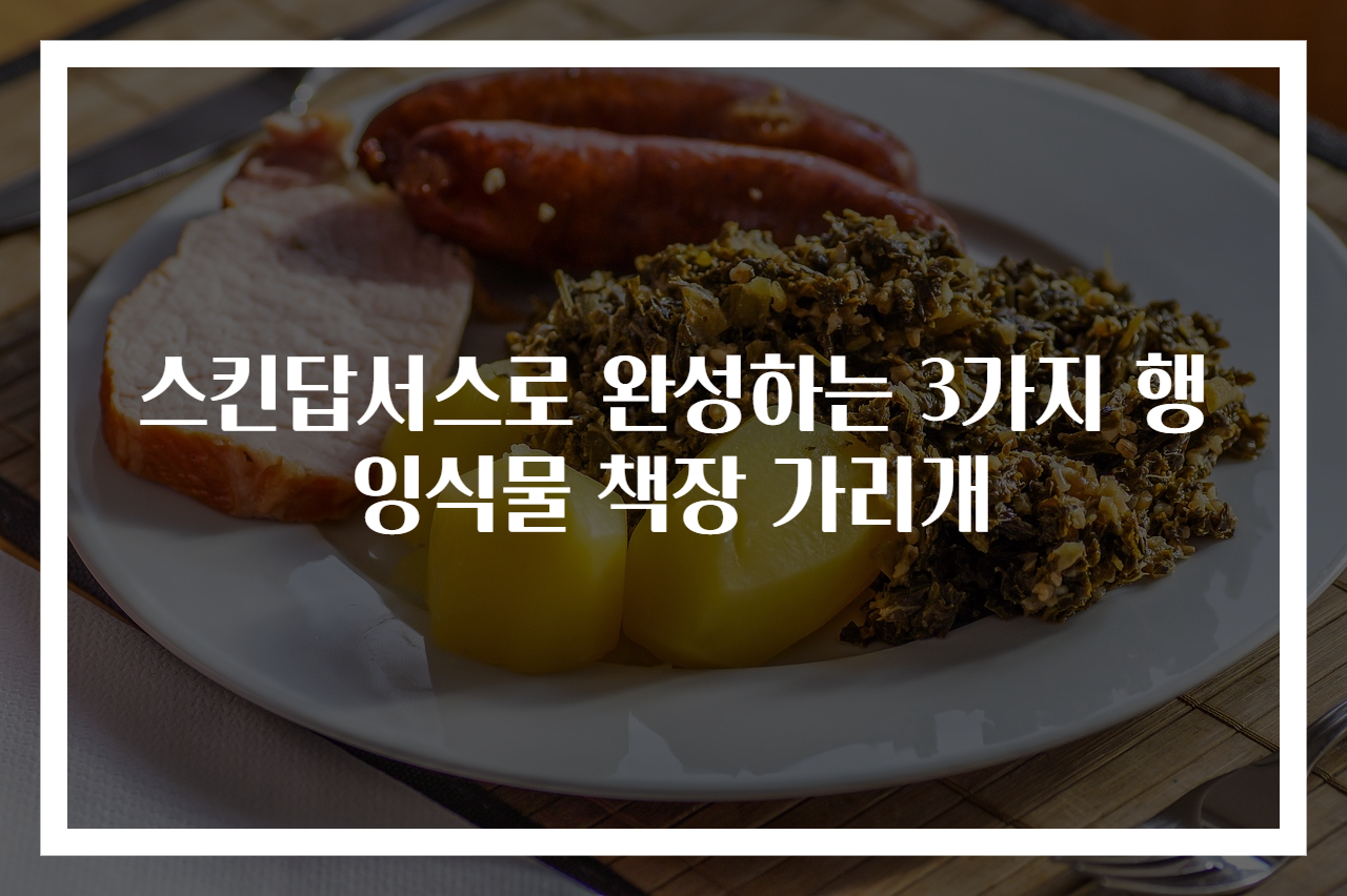 스킨답서스로 완성하는 3가지 행잉식물 책장 가리개