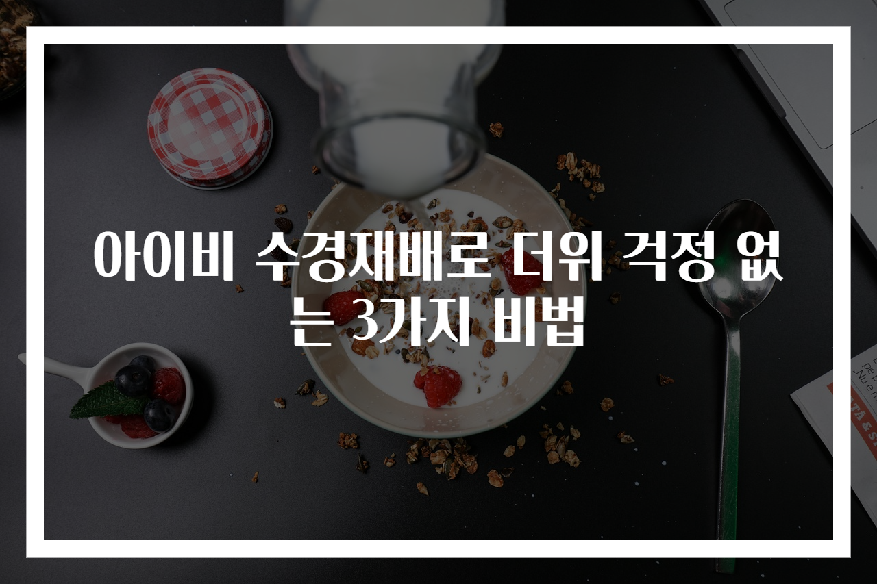 아이비 수경재배로 더위 걱정 없는 3가지 비법